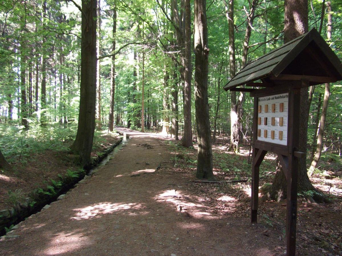 Ferienwohnung Erzgebirge - Pobershau - Mit Schoenem Ausblick, Ruhige, Beste Lage 外观 照片